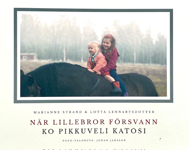 Ko pikkuveli katosi